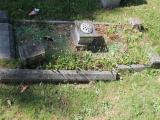 image of grave number 519021